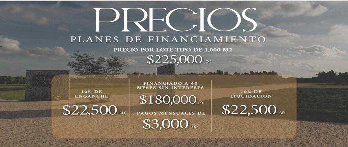 Foto de terreno habitacional en venta en  , xucu, seyé, yucatán, 0 No. 04