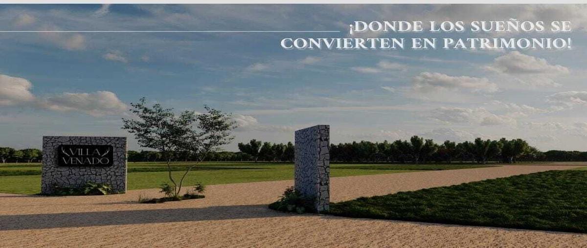 Foto de terreno habitacional en venta en  , xucu, seyé, yucatán, 0 No. 05