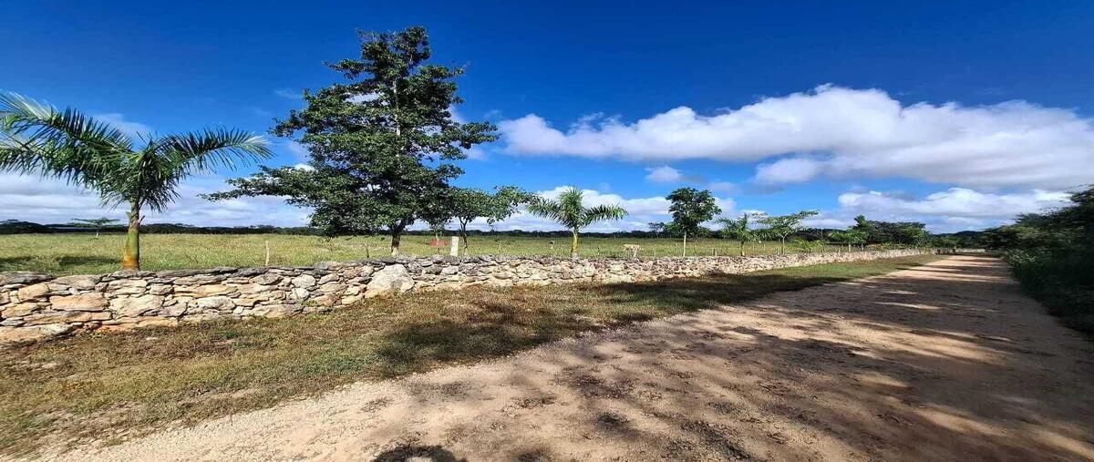 Foto de terreno habitacional en venta en  , xucu, seyé, yucatán, 0 No. 03