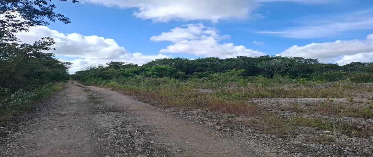 Foto de terreno habitacional en venta en  , xucu, seyé, yucatán, 0 No. 05