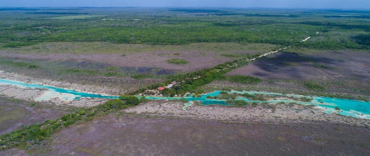 Foto de terreno habitacional en venta en  , xul-ha, othón p. blanco, quintana roo, 0 No. 05