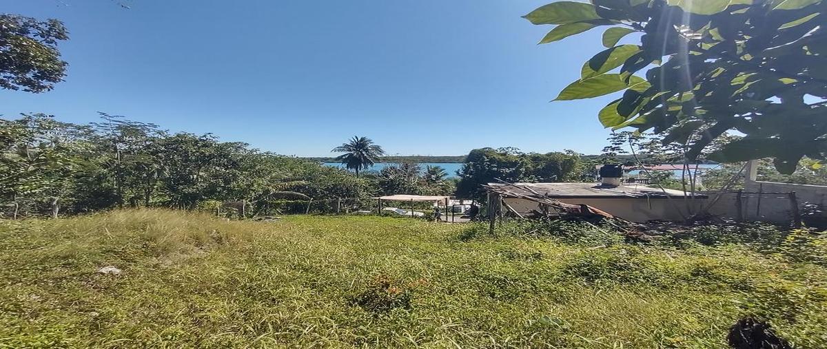 Foto de terreno habitacional en venta en  , xul-ha, othón p. blanco, quintana roo, 0 No. 05