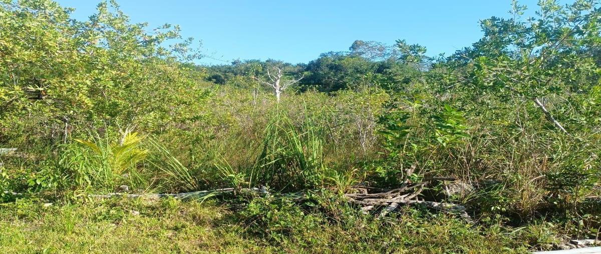 Foto de terreno habitacional en venta en  , xul-ha, othón p. blanco, quintana roo, 0 No. 04