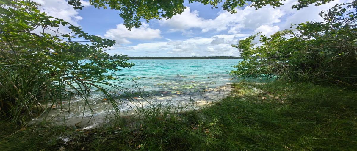 Foto de terreno habitacional en , xul-ha, othón p. blanco, quintana roo, 0 foto 02 Foto de terreno habitacional en venta en , xul-ha, othón p. blanco, quintana roo, 0 No. 02
