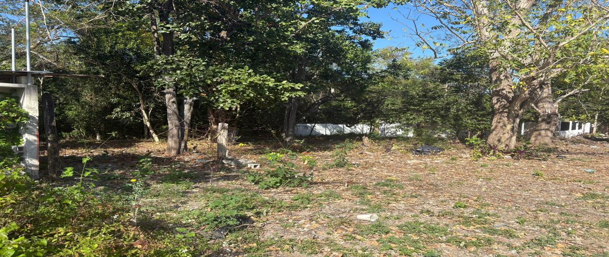 Foto de terreno habitacional en venta en  , xul-ha, othón p. blanco, quintana roo, 0 No. 03