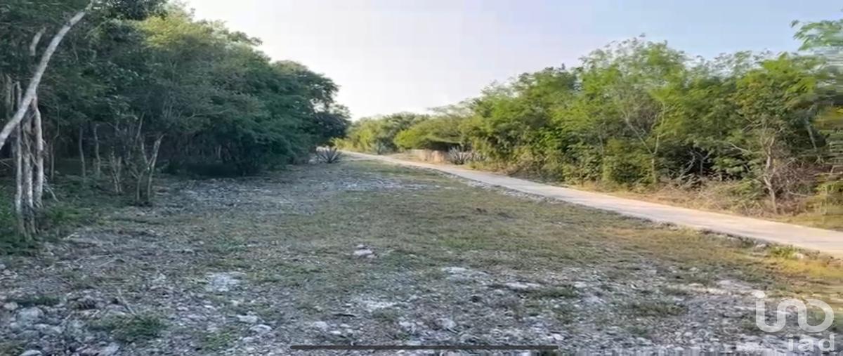 Foto de terreno habitacional en venta en xuul phula , progreso de castro centro, progreso, yucatán, 0 No. 03