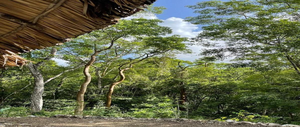 Foto de terreno habitacional en venta en  , xuxcab, tekom, yucatán, 27174729 No. 03