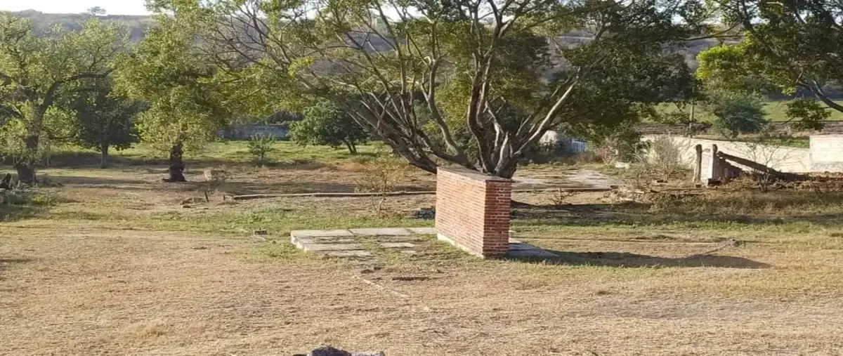 Foto de terreno comercial en venta en xx 0, tequesquitengo, jojutla, morelos, 28464695 No. 02