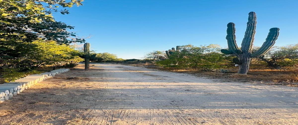 Foto de terreno habitacional en venta en y griega carretera al sur , san pedro, la paz, baja california sur, 0 No. 04