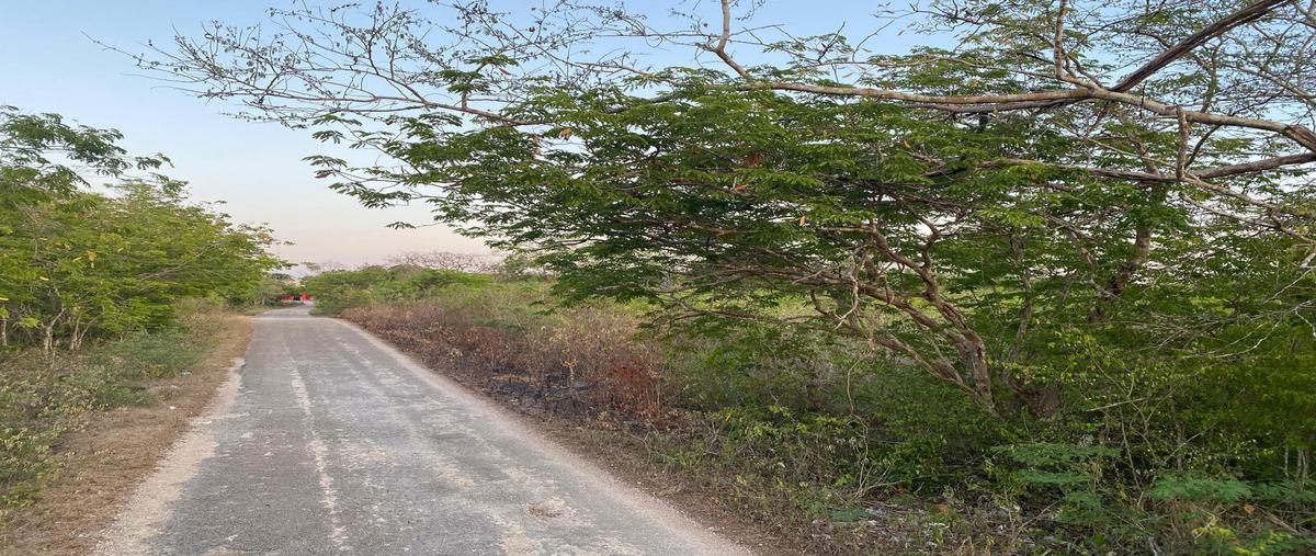 Foto de terreno habitacional en , yalcoba, valladolid, yucatán, 0 foto 02 Foto de terreno habitacional en venta en , yalcoba, valladolid, yucatán, 0 No. 02