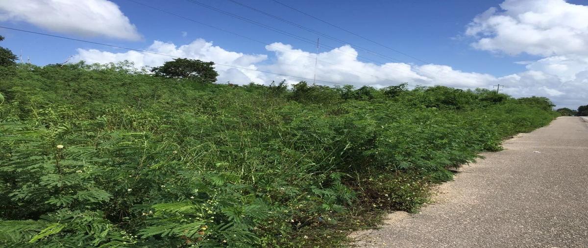 Foto de terreno comercial en venta en  , yalcoba, valladolid, yucatán, 6495265 No. 02