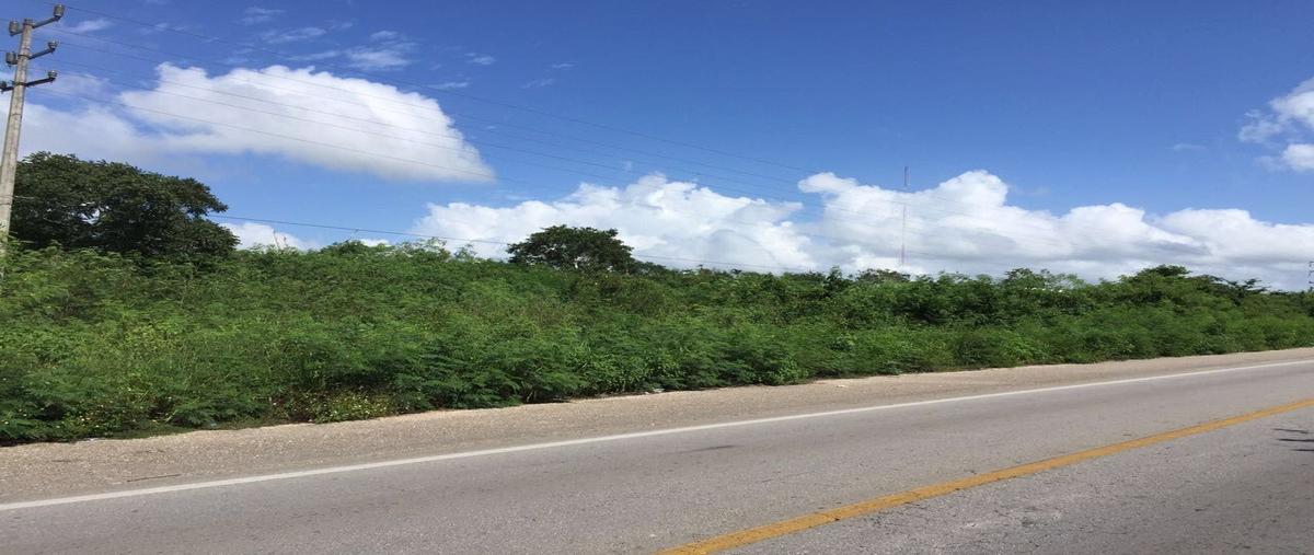 Foto de terreno comercial en venta en  , yalcoba, valladolid, yucatán, 6495265 No. 03