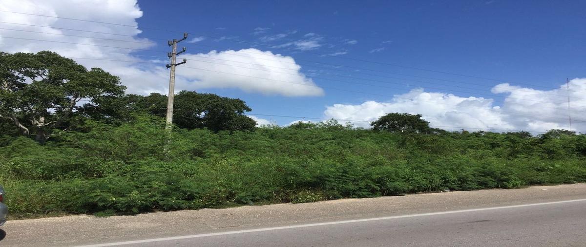 Foto de terreno comercial en venta en  , yalcoba, valladolid, yucatán, 6495265 No. 04
