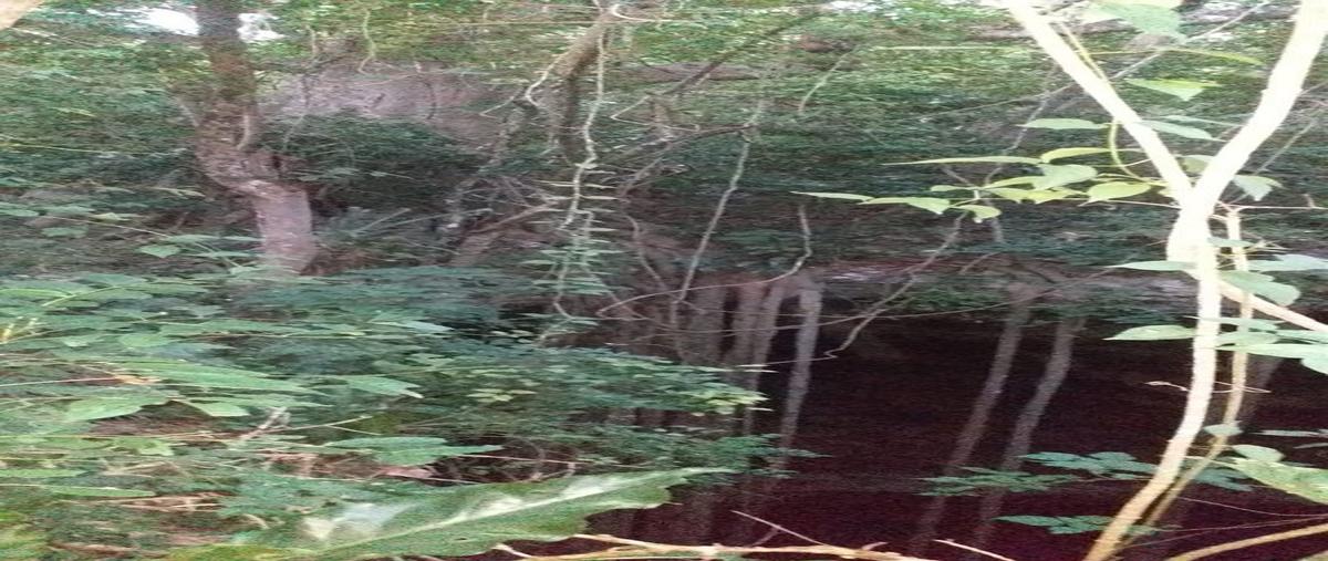 Foto de terreno habitacional en venta en  , yalcon, valladolid, yucatán, 27681196 No. 03