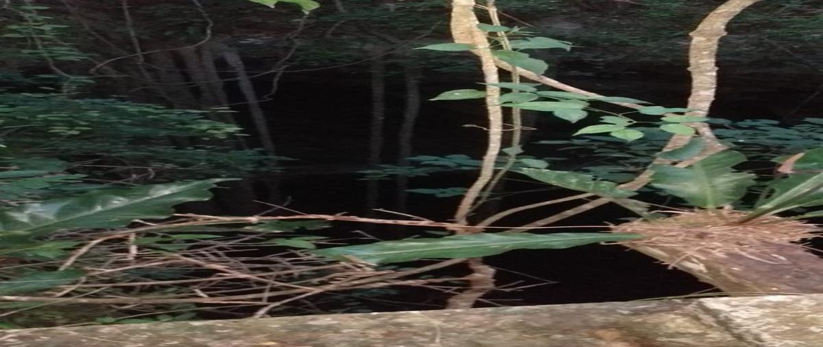 Foto de terreno habitacional en venta en  , yalcon, valladolid, yucatán, 27681196 No. 04