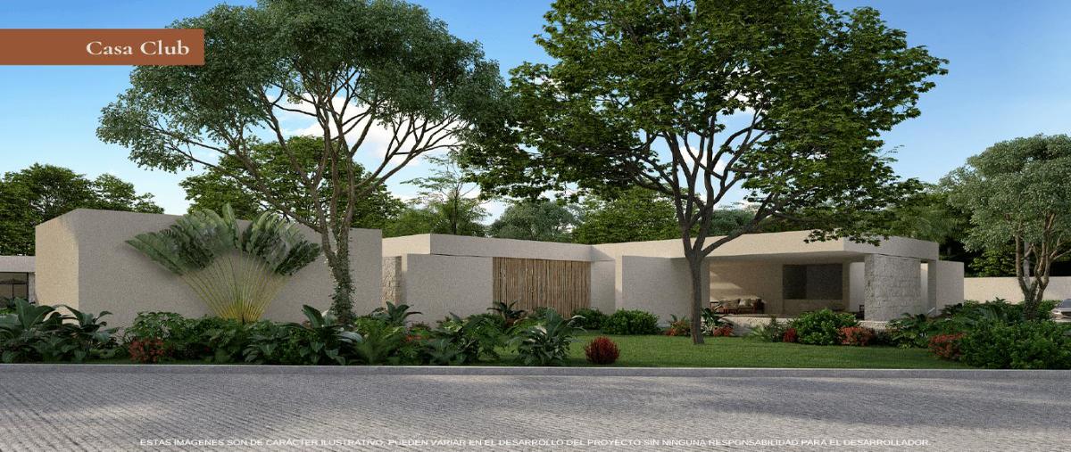Foto de terreno habitacional en , yalcon, valladolid, yucatán, 0 foto 03 Foto de terreno habitacional en venta en , yalcon, valladolid, yucatán, 0 No. 03