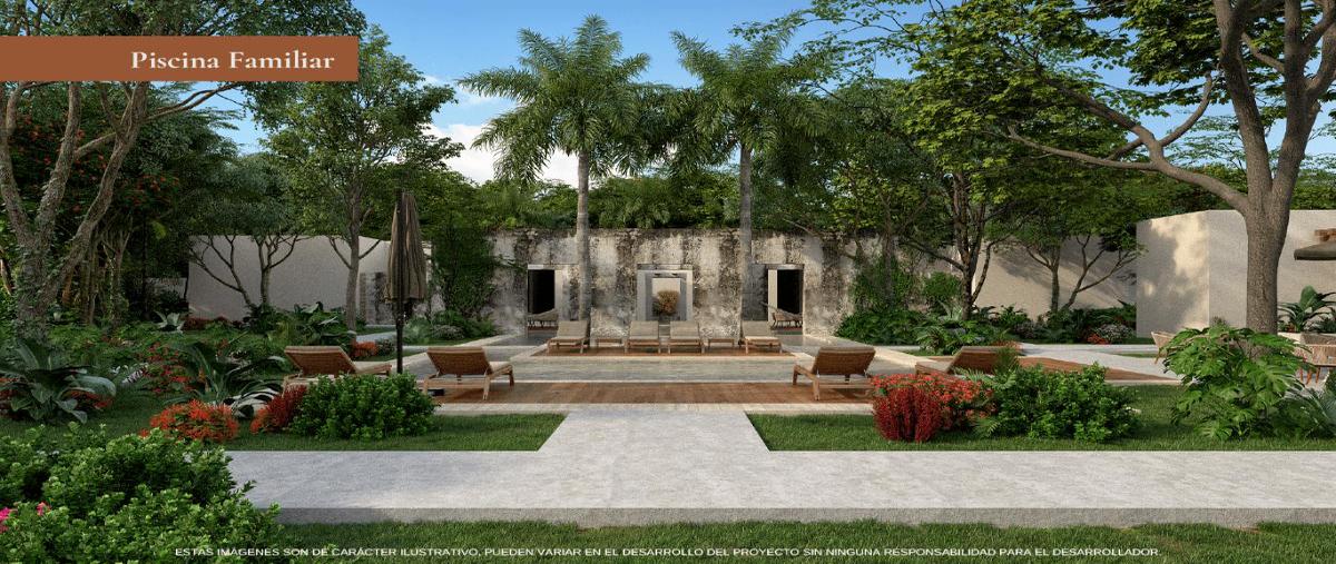 Foto de terreno habitacional en , yalcon, valladolid, yucatán, 0 foto 04 Foto de terreno habitacional en venta en , yalcon, valladolid, yucatán, 0 No. 04