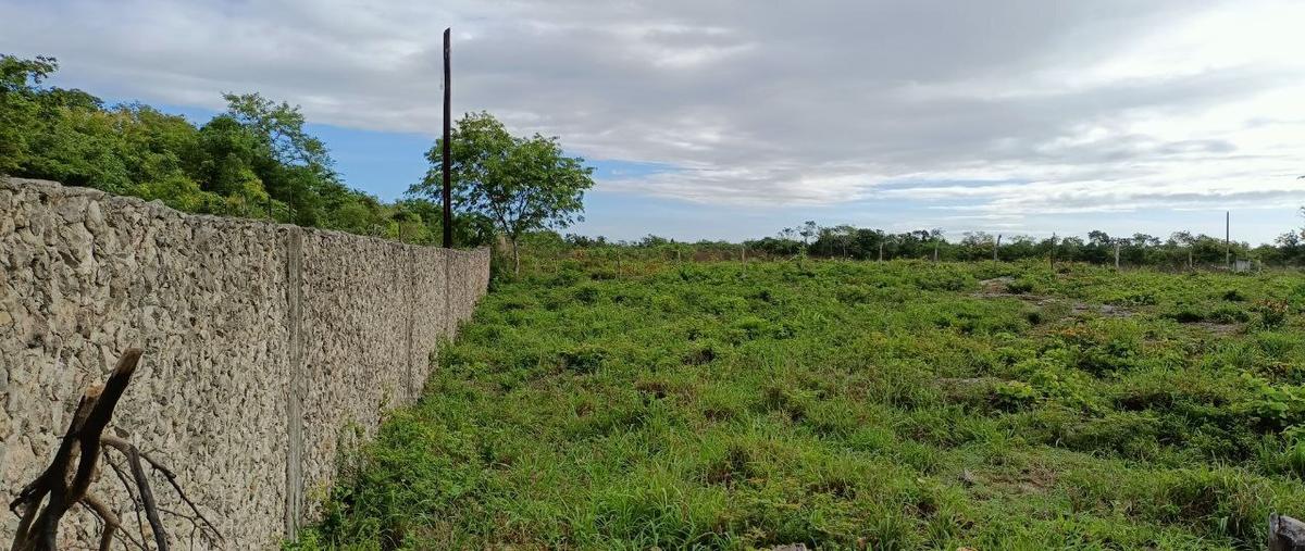 Foto de terreno habitacional en venta en  , yalcon, valladolid, yucatán, 0 No. 03