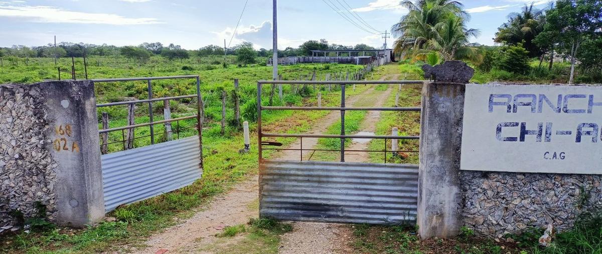 Foto de terreno habitacional en venta en  , yalcon, valladolid, yucatán, 0 No. 04