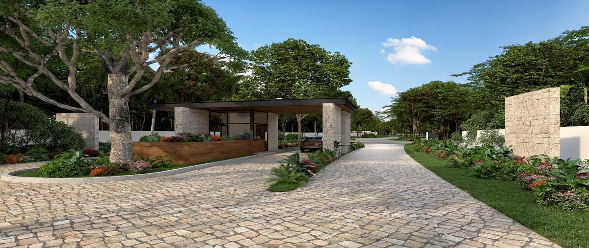 Foto de terreno habitacional en yalcon, valladolid, yucatán , yalcon, valladolid, yucatán, 0 foto 01 Foto de terreno habitacional en venta en yalcon, valladolid, yucatán , yalcon, valladolid, yucatán, 0 No. 01