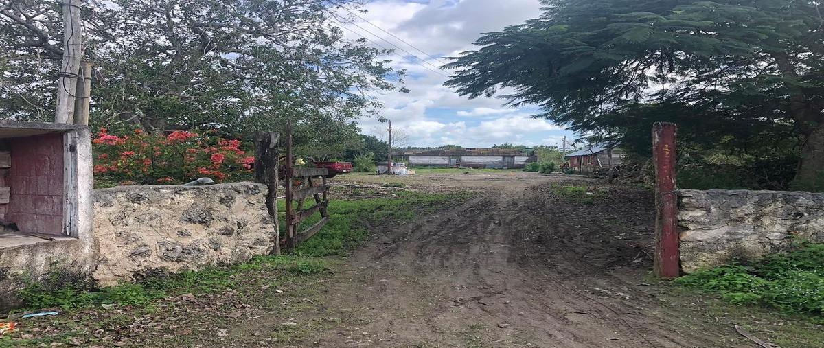 Foto de terreno habitacional en yalsihon , cenote yalsihón buena fe, panabá, yucatán, 0 foto 01 Foto de terreno habitacional en venta en yalsihon , cenote yalsihón buena fe, panabá, yucatán, 0 No. 01