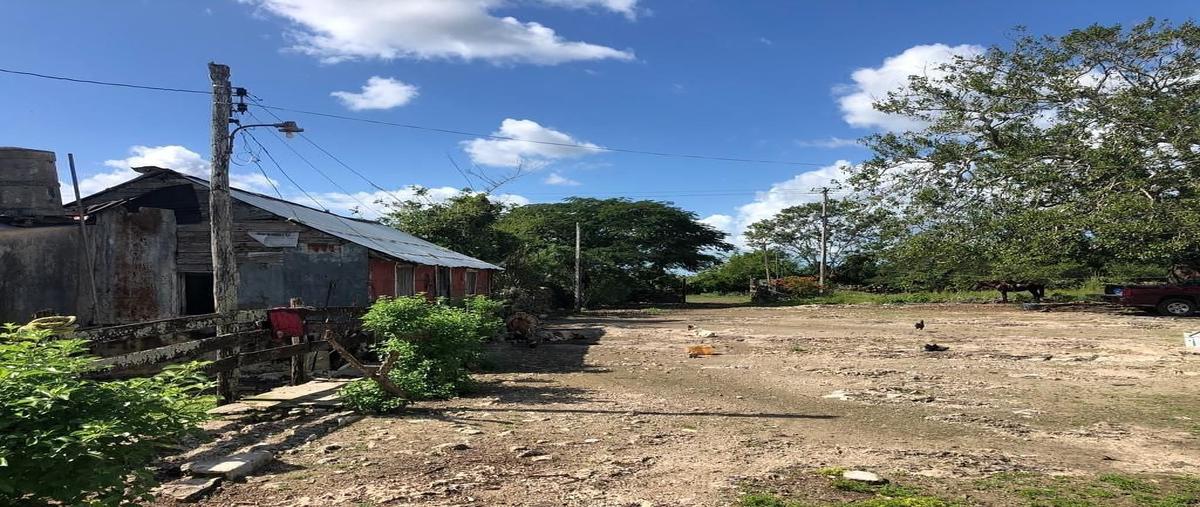 Foto de terreno habitacional en yalsihon , cenote yalsihón buena fe, panabá, yucatán, 0 foto 06 Foto de terreno habitacional en venta en yalsihon , cenote yalsihón buena fe, panabá, yucatán, 0 No. 06
