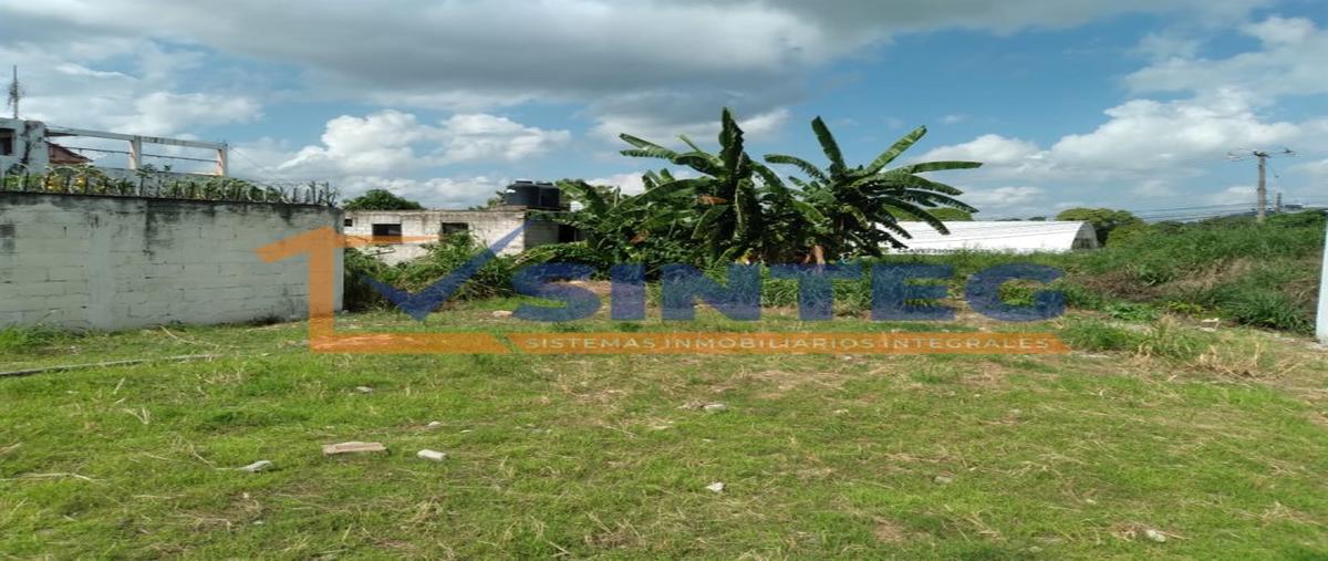 Foto de terreno habitacional en venta en  , yanga, poza rica de hidalgo, veracruz de ignacio de la llave, 27116538 No. 05