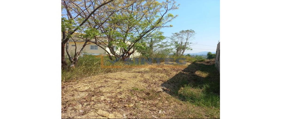 Foto de terreno habitacional en venta en  , yanga, poza rica de hidalgo, veracruz de ignacio de la llave, 0 No. 03
