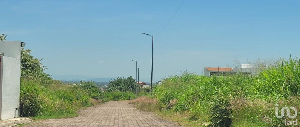 Foto de terreno habitacional en venta en yanzi 121, real de oaxtepec, yautepec, morelos, 30198245 No. 04