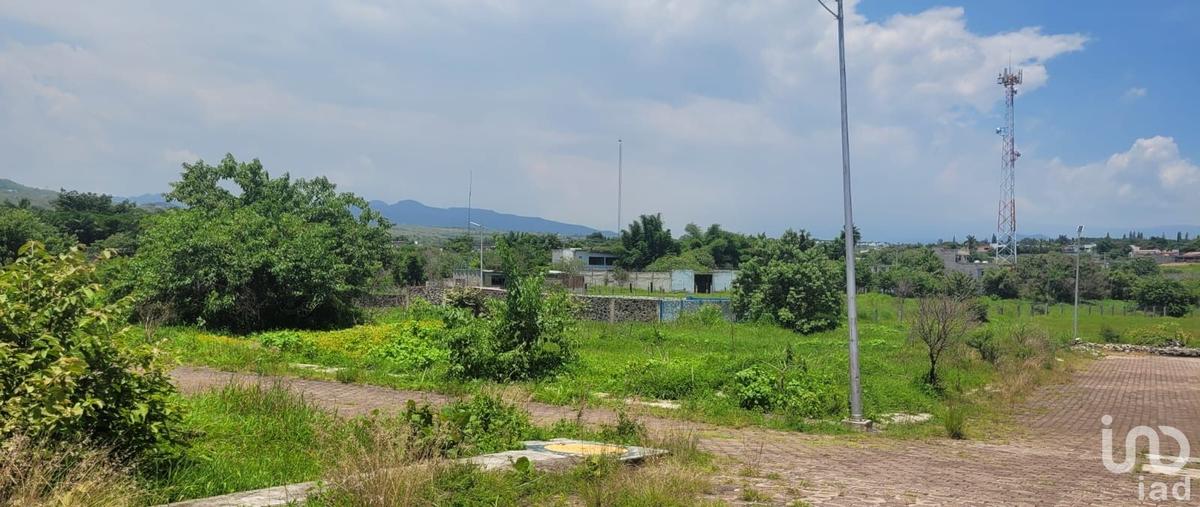 Foto de terreno habitacional en venta en yanzi 79, real de oaxtepec, yautepec, morelos, 30198245 No. 01