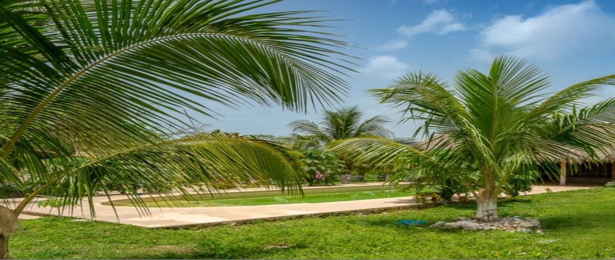 Foto de terreno habitacional en , yaxcaba, yaxcabá, yucatán, 30136891 foto 01 Foto de terreno habitacional en venta en , yaxcaba, yaxcabá, yucatán, 30136891 No. 01