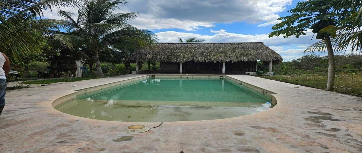 Foto de terreno habitacional en , yaxcaba, yaxcabá, yucatán, 30136891 foto 02 Foto de terreno habitacional en venta en , yaxcaba, yaxcabá, yucatán, 30136891 No. 02