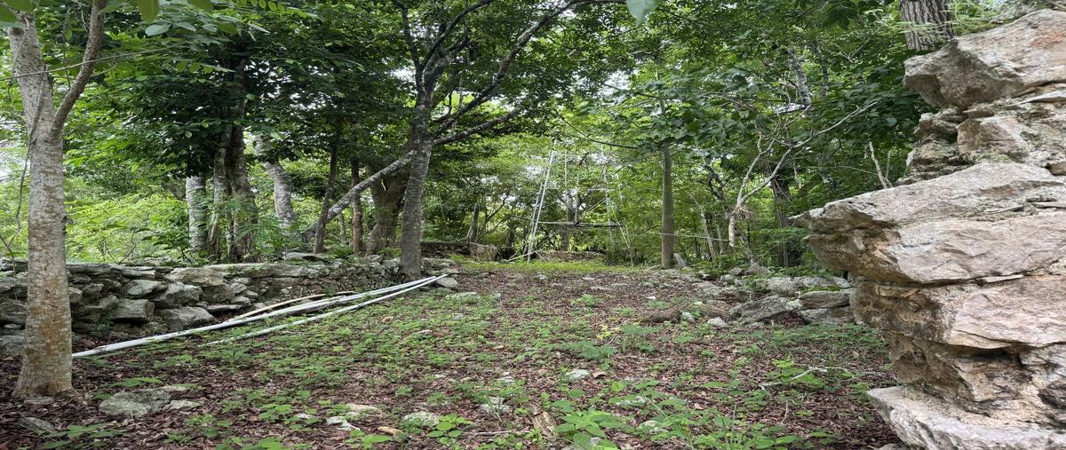 Foto de terreno habitacional en , yaxcaba, yaxcabá, yucatán, 30159881 foto 05 Foto de terreno habitacional en venta en , yaxcaba, yaxcabá, yucatán, 30159881 No. 05
