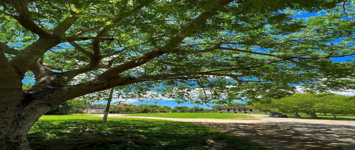 Foto de terreno habitacional en venta en  , yaxche de peón, ucú, yucatán, 27408945 No. 05