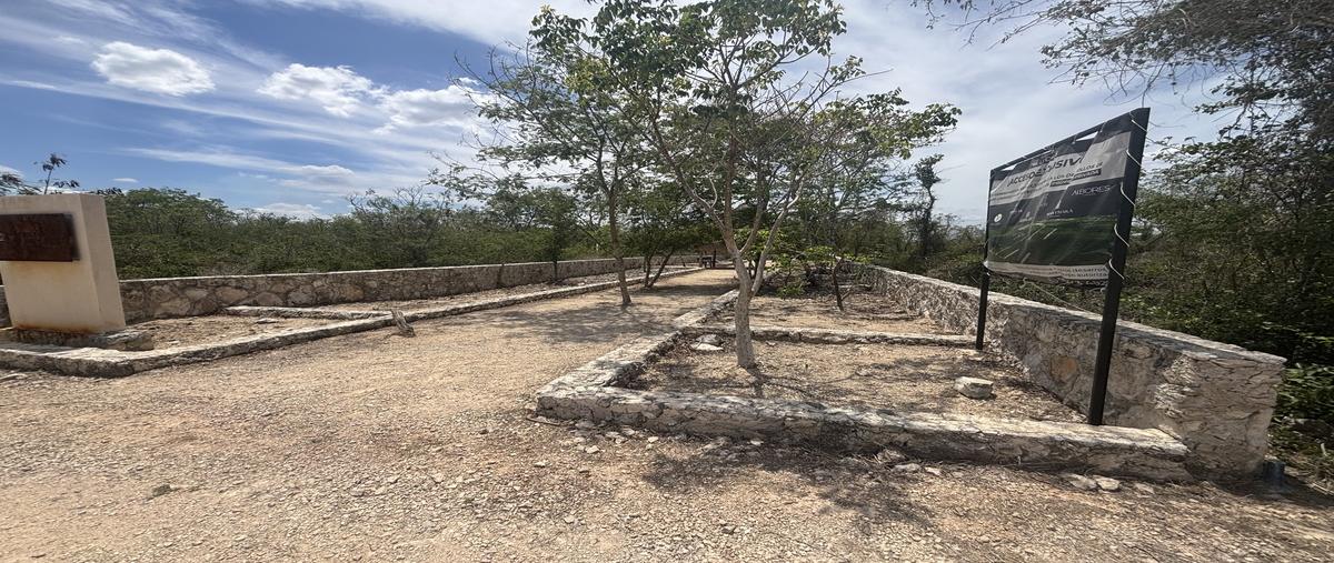 Foto de terreno habitacional en venta en - , yaxche de peón, ucú, yucatán, 0 No. 03