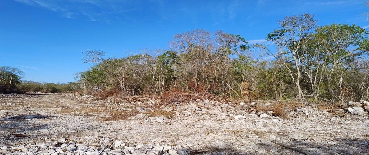 Foto de terreno habitacional en venta en  , yaxche de peón, ucú, yucatán, 0 No. 03