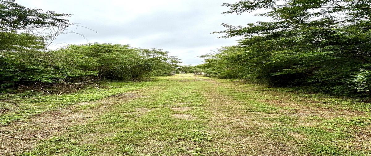 Foto de terreno habitacional en venta en  , yaxche, mérida, yucatán, 28777020 No. 04