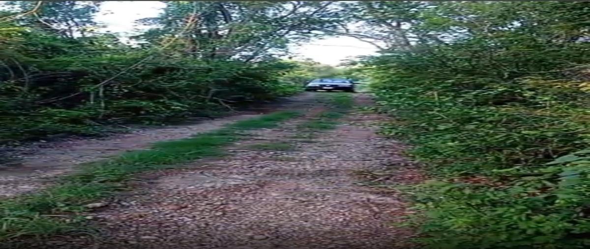 Foto de terreno habitacional en venta en  , yaxche, mérida, yucatán, 30099054 No. 03