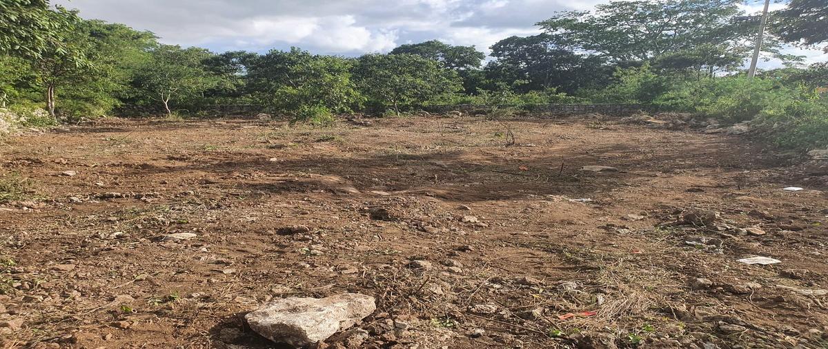 Foto de terreno comercial en yaxche peon , ucu, ucú, yucatán, 0 foto 03 Foto de terreno comercial en venta en yaxche peon , ucu, ucú, yucatán, 0 No. 03
