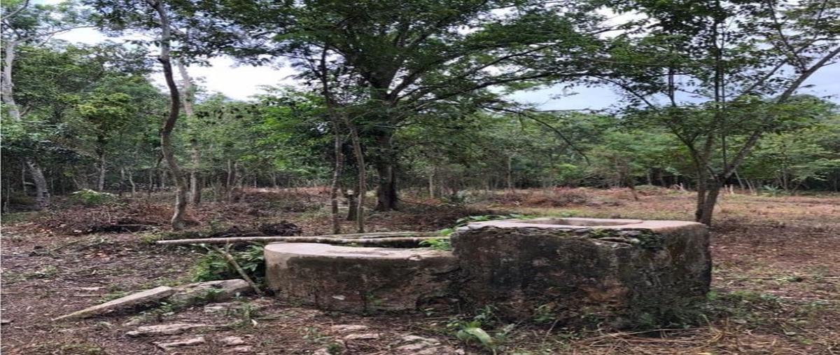 Foto de terreno habitacional en venta en yaxche whi313870, yaxche, valladolid, yucatán, 0 No. 03