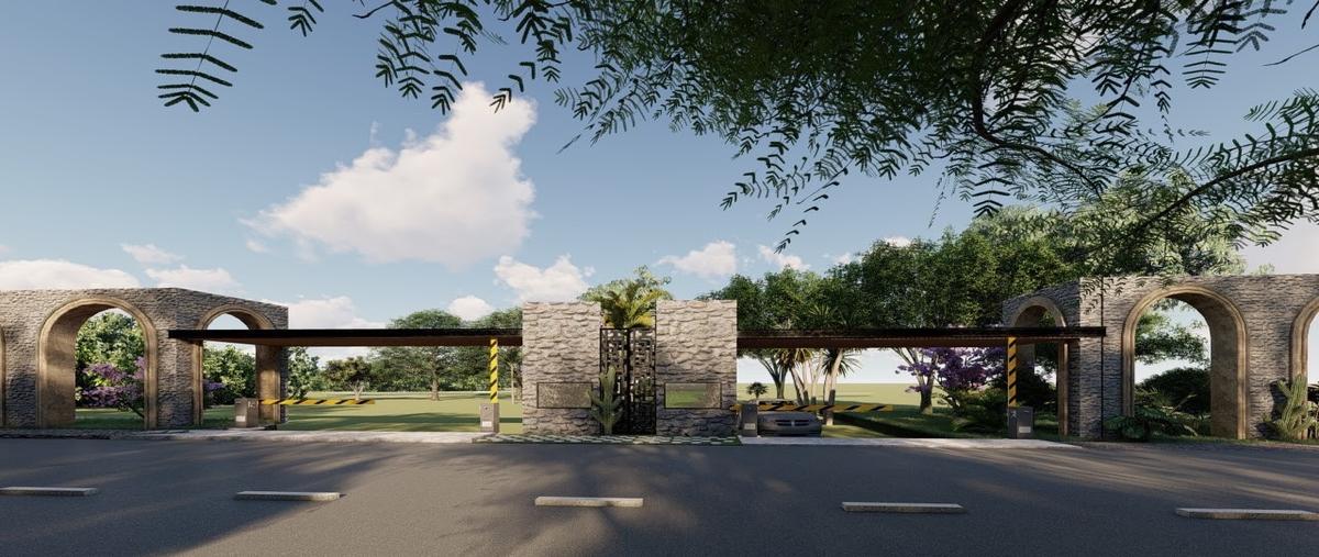 Foto de terreno habitacional en venta en yaxche whi313870, yaxche, valladolid, yucatán, 0 No. 05