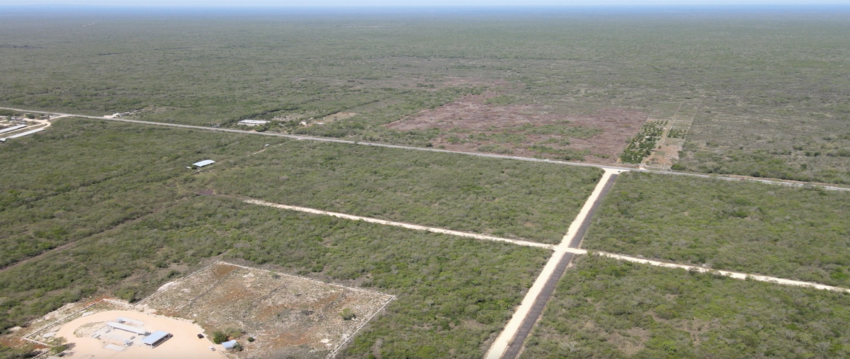 Foto de terreno habitacional en venta en  , yaxcopoil, umán, yucatán, 25598255 No. 03