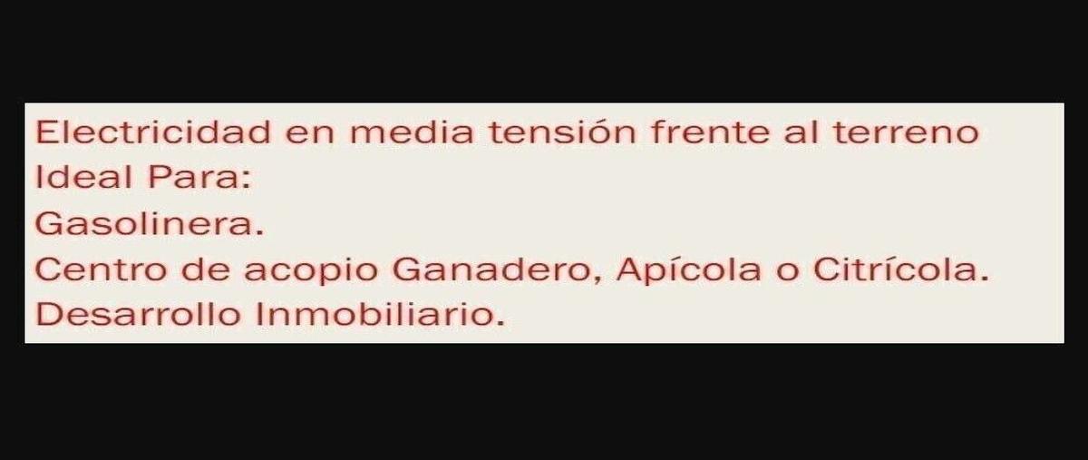 Foto de terreno habitacional en venta en yaxcopoil , yaxcopoil, umán, yucatán, 0 No. 04