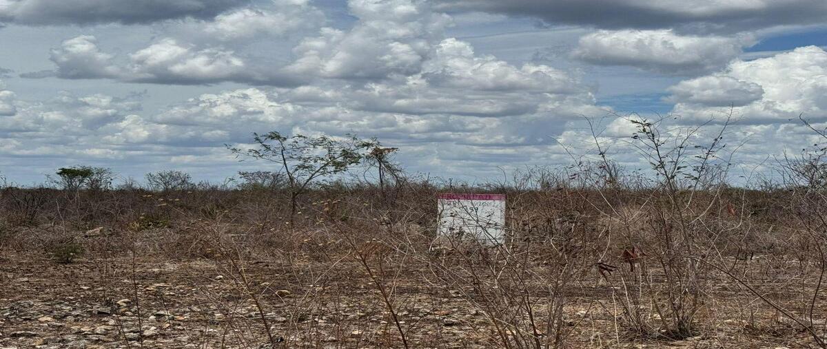 Foto de terreno habitacional en venta en yaxkukul , yaxkukul, yaxkukul, yucatán, 30293713 No. 04