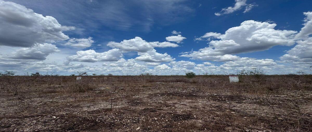 Foto de terreno habitacional en venta en yaxkukul , yaxkukul, yaxkukul, yucatán, 30293713 No. 05