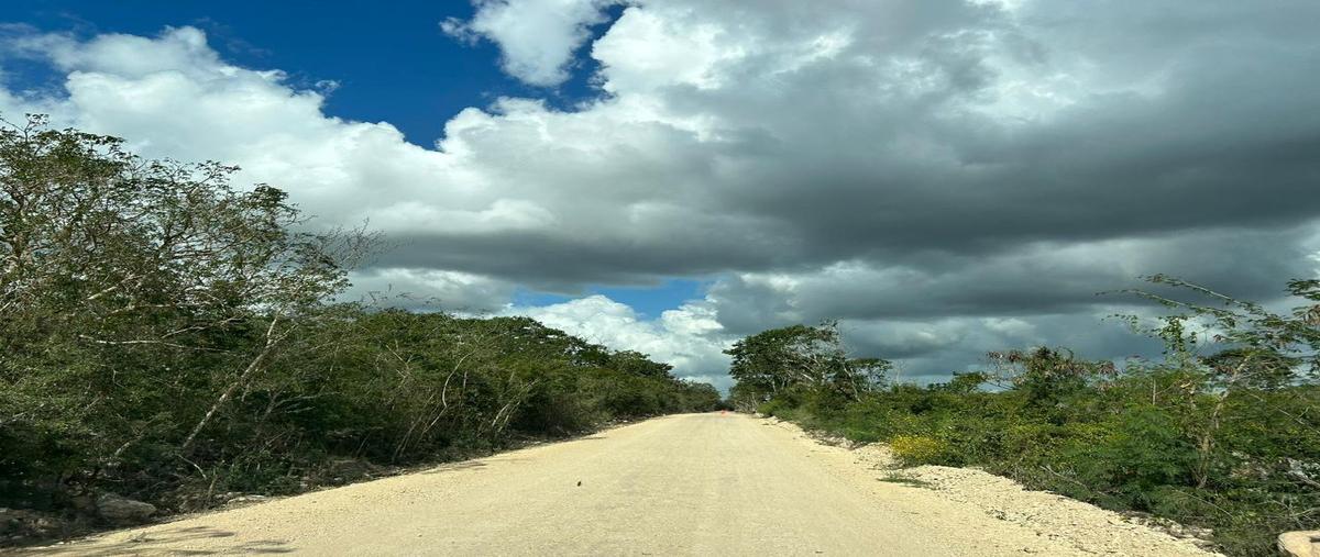 Foto de terreno habitacional en venta en  , yaxkukul, yaxkukul, yucatán, 16375262 No. 04