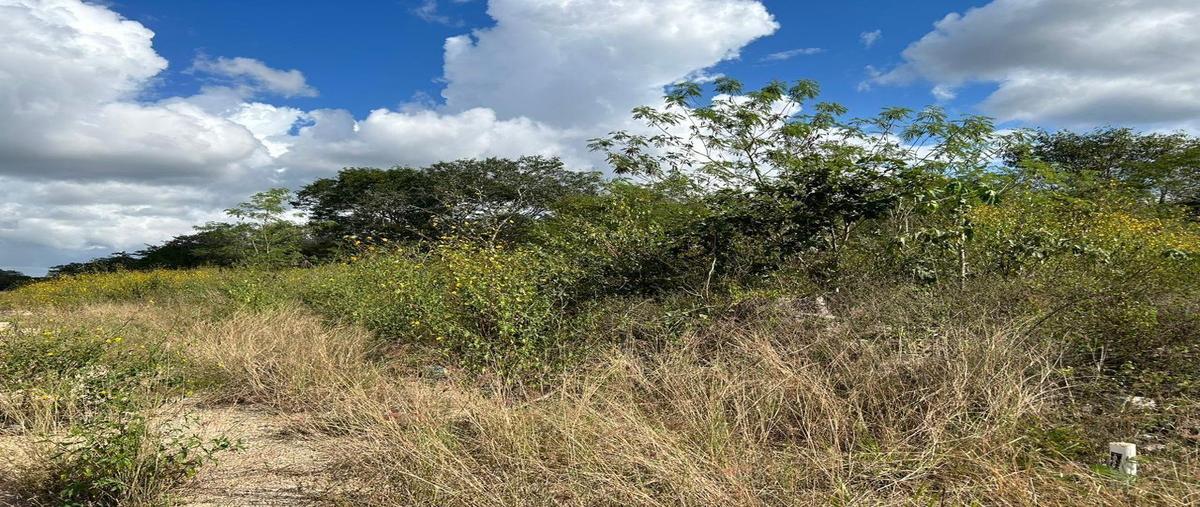 Foto de terreno habitacional en venta en  , yaxkukul, yaxkukul, yucatán, 16375262 No. 05