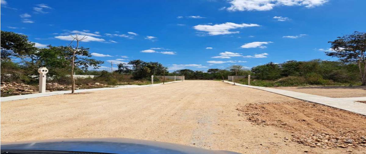 Foto de terreno habitacional en venta en  , yaxkukul, yaxkukul, yucatán, 0 No. 03