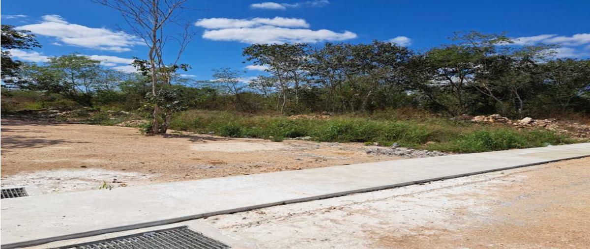 Foto de terreno habitacional en venta en  , yaxkukul, yaxkukul, yucatán, 0 No. 04