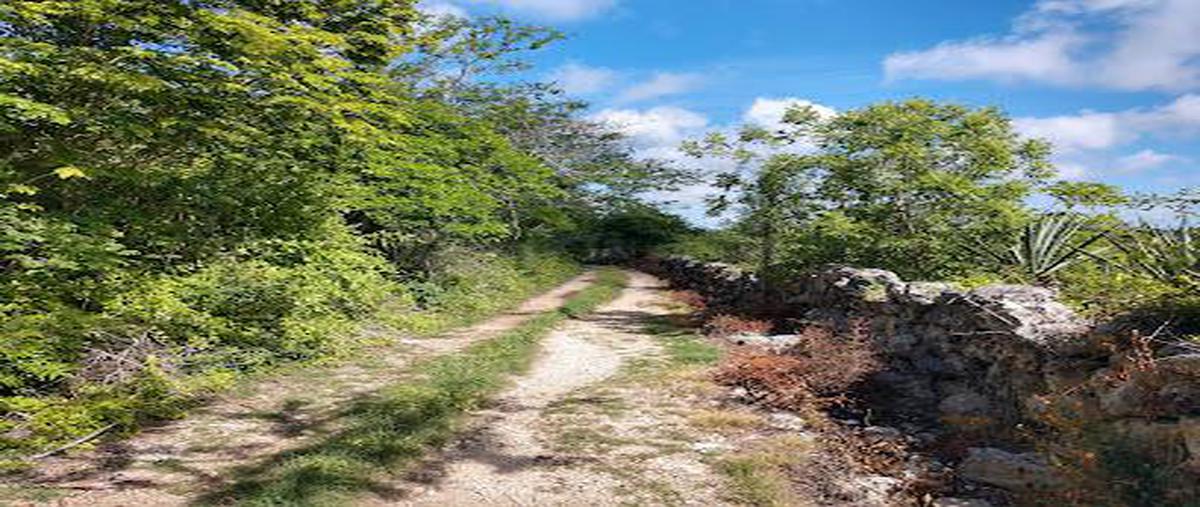 Foto de terreno habitacional en venta en  , yaxkukul, yaxkukul, yucatán, 0 No. 03